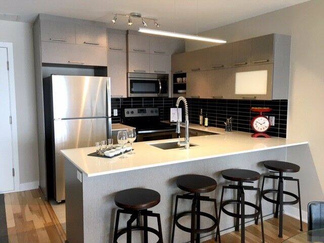 #602 141 Rue Francois-Souillard - 1
